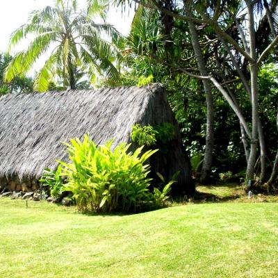 POLYNESIAN HAWAII