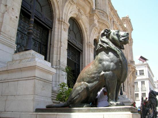 LES LIONS DE LA MAIRIE - THE CITY HALL 'S LIONS