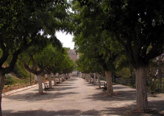 PROMENADE DE L'ETANG - POND PROMENADE